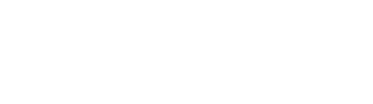 Blue Lightning Information Security